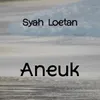About Aneuk Song