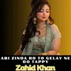 About Abi Zinda Ho To Gelay Ne Do Tappy Song