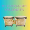 About Mi Colección Vallenata Song