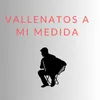 Vallenatos a Mi Medida