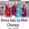 About Bnnsa Aalu ka Mhel Chunaya Song