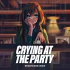 About Crying At The Party Song
