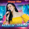 About Mabuk Janda Song