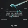 About What You Wanted Song