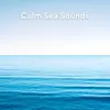 Calm Sea Sounds, Pt. 57