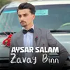 About Zavay Binn Song