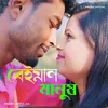 About Beiman Manush Ato Nisthur Song