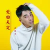 About 爱由天定 Song