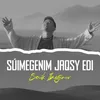 Súimegenim jaqsy edi