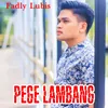 About PEGE LAMBANG Song