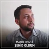 About Şehid Oldum Song