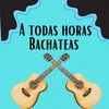 About A todas horas bachateas Song