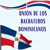 About Union de los bachateros dominicanos Song