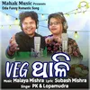 About Veg Thali Song