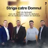 Strigă către Domnul