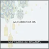 About Muhabbat Kia Hai Song
