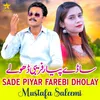 About Sade Piyar Farebi Dholay Song