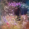 About Serenity Song