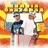 About Cumbia Castrosa Song