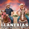 About Llanerías Song