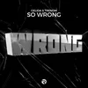 About So Wrong Song