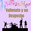 Vallenato y un despecho