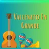 About Vallenato en grande Song