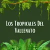 Los tropicales del vallenato