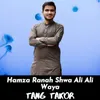 About Hamza Ranah Shwa Ali Ali Waya Song