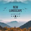 NEW LANDSCAPE