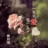 About 一生只爱你一人 Song