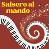 About Salsero al mando Song