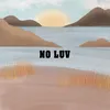 About NO LUV Song