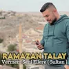 About Vermem Seni Ellere (Sultan) Song