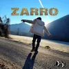 About ZARRO Song