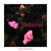 About Stillness Song