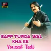 About Sapp Turda Wal Kha Ke Song