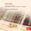 Sonata for Harpsichord in D Major, Hob. XVI/37: I. Allegro con brio