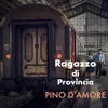 About Ragazzo Di Provincia Song