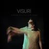 About Visuri Song