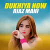 About Dukhiya Now Song