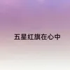 About 五星红旗在心中 Song