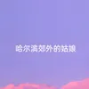 About 哈尔滨郊外的姑娘 Song
