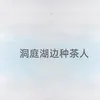 About 洞庭湖边种茶人 Song