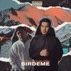 Birdeme