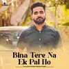 Bina Tere Na Ek Pal Ho