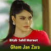 About Gham Jan Zara Song