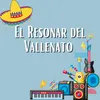 El resonar del vallenato