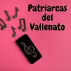 About Patriarcas del vallenato Song