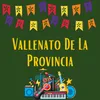 About Vallenato de la provincia Song